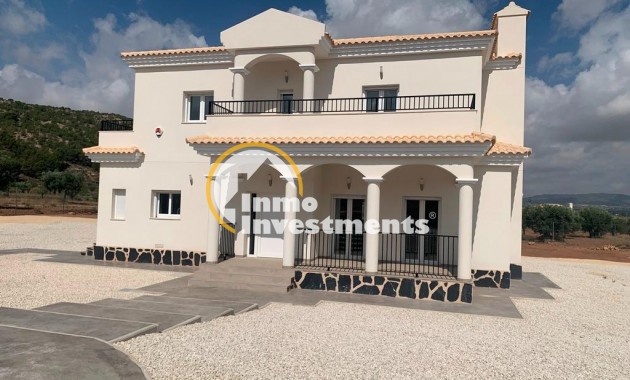 Neubau Immobilien - Villa - Pinoso - Camino Del Prado