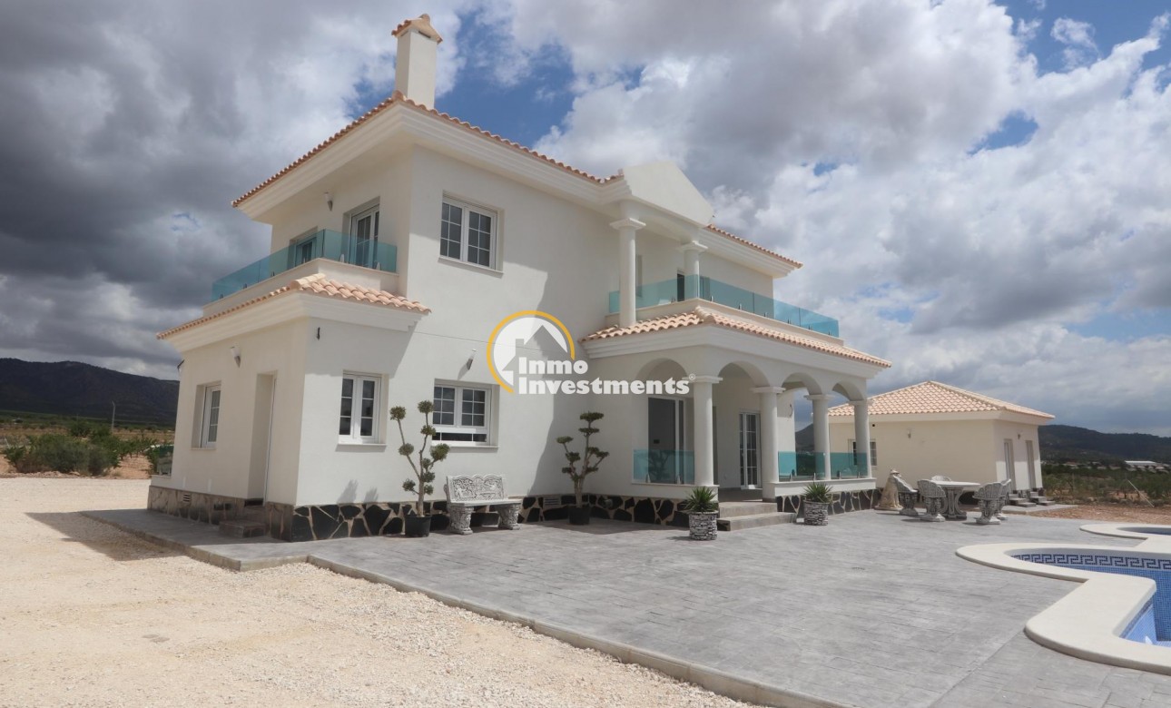 New build - Villa - Pinoso - Camino Del Prado