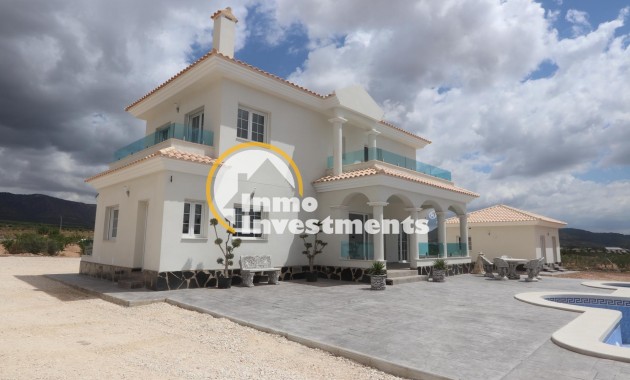 Neubau Immobilien - Villa - Pinoso - Camino Del Prado