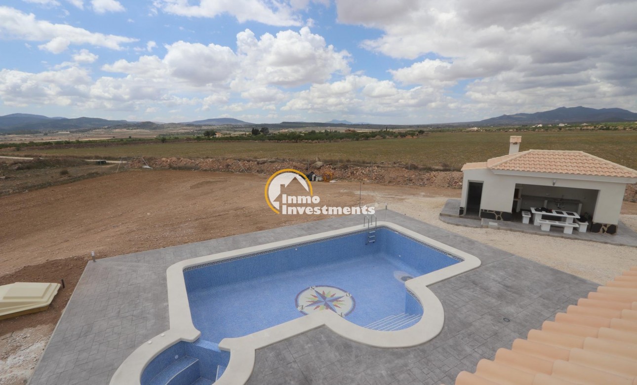 Nouvelle Construction - Villa - Pinoso - Camino Del Prado