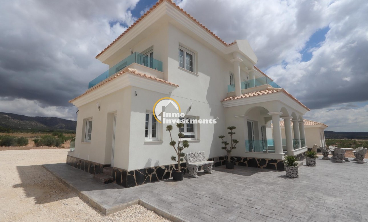 New build - Villa - Pinoso - Camino Del Prado