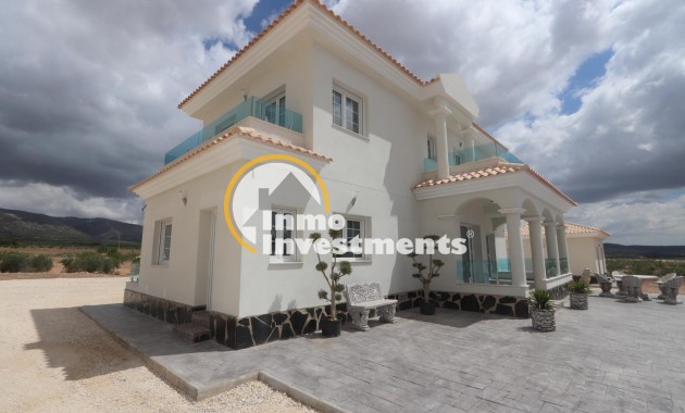 Neubau Immobilien - Villa - Pinoso - Camino Del Prado