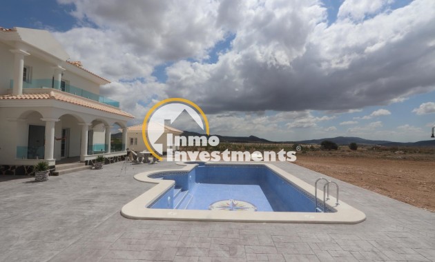 Neubau Immobilien - Villa - Pinoso - Camino Del Prado