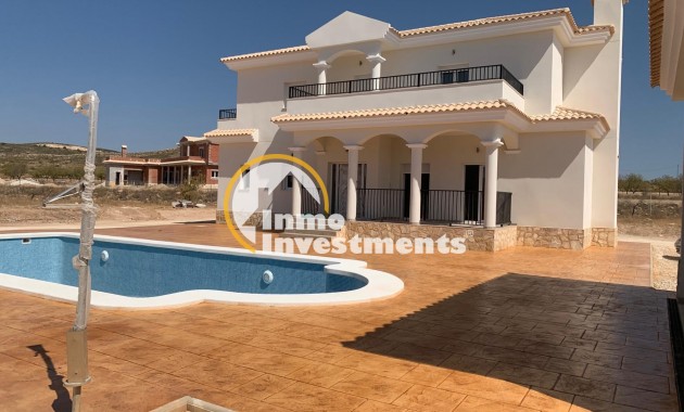 Neubau Immobilien - Villa - Pinoso - Camino Del Prado