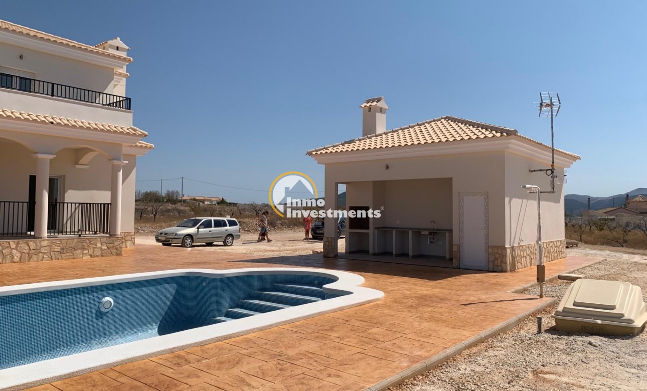 Neubau Immobilien - Villa - Pinoso - Camino Del Prado