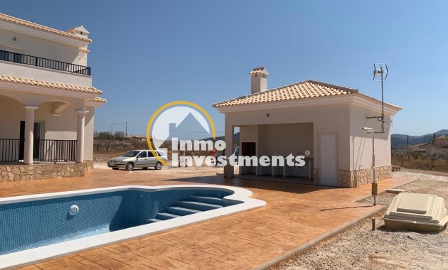 Neubau Immobilien - Villa - Pinoso - Camino Del Prado