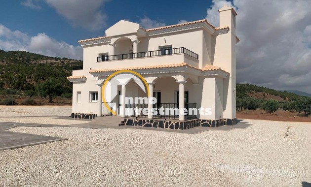 New build - Villa - Pinoso - Camino Del Prado