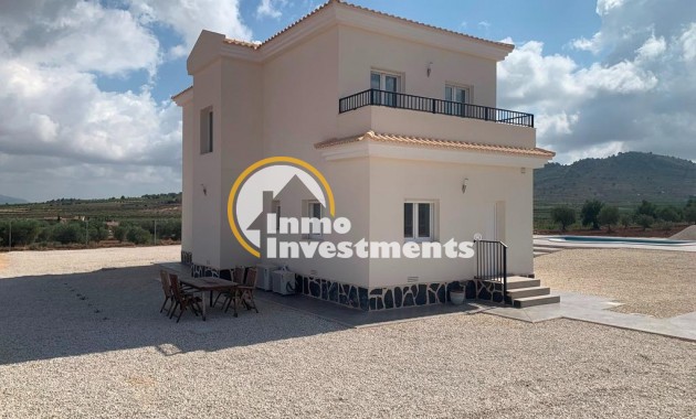 Neubau Immobilien - Villa - Pinoso - Camino Del Prado