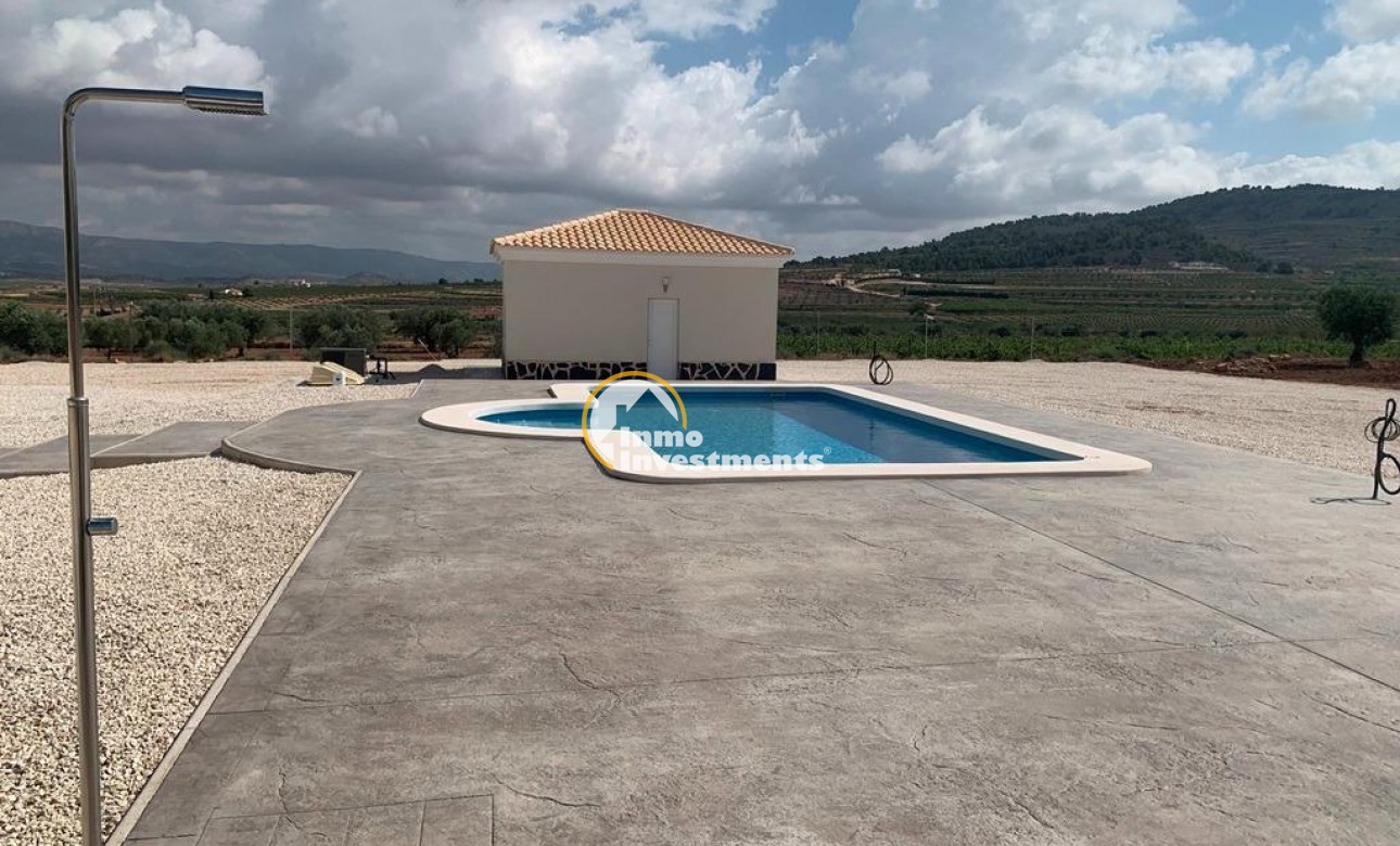 Nouvelle Construction - Villa - Pinoso - Camino Del Prado