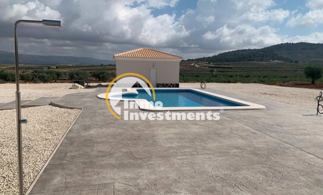 Neubau Immobilien - Villa - Pinoso - Camino Del Prado