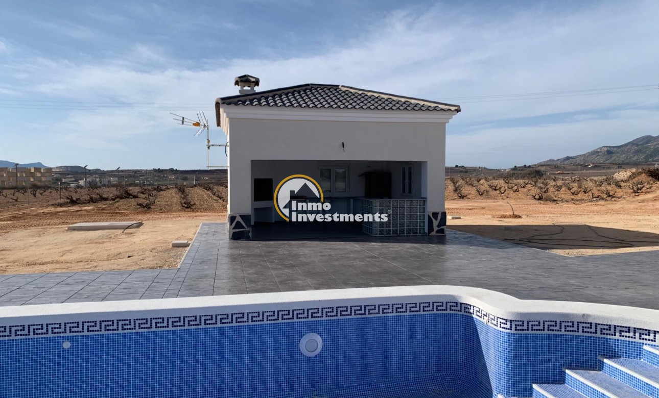 New build - Villa - Pinoso - Camino Del Prado
