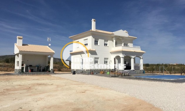 Neubau Immobilien - Villa - Pinoso - Camino Del Prado