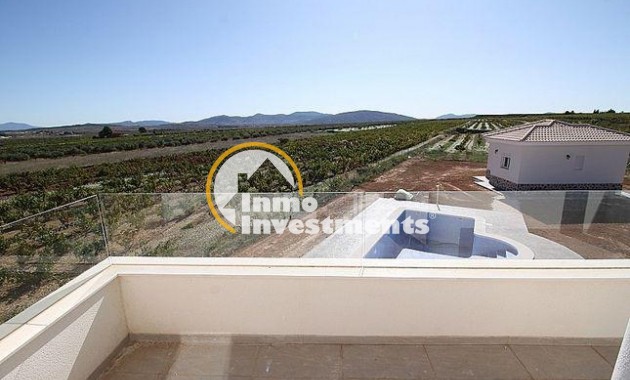 Neubau Immobilien - Villa - Pinoso - Camino Del Prado