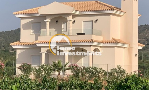 Neubau Immobilien - Villa - Pinoso - Camino Del Prado