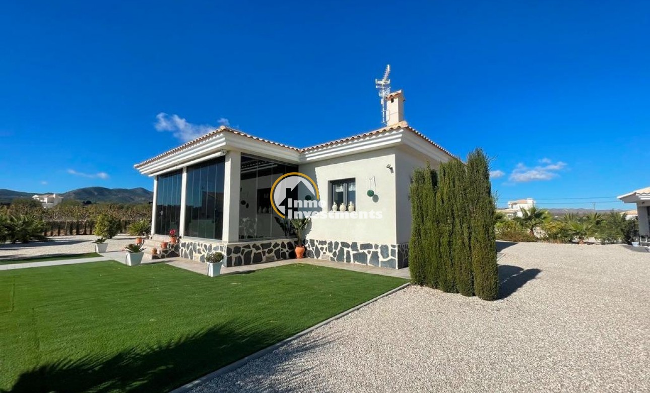 Neubau Immobilien - Villa - Pinoso - Camino Del Prado