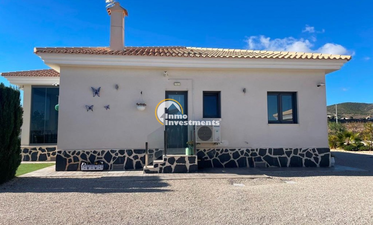 Neubau Immobilien - Villa - Pinoso - Camino Del Prado