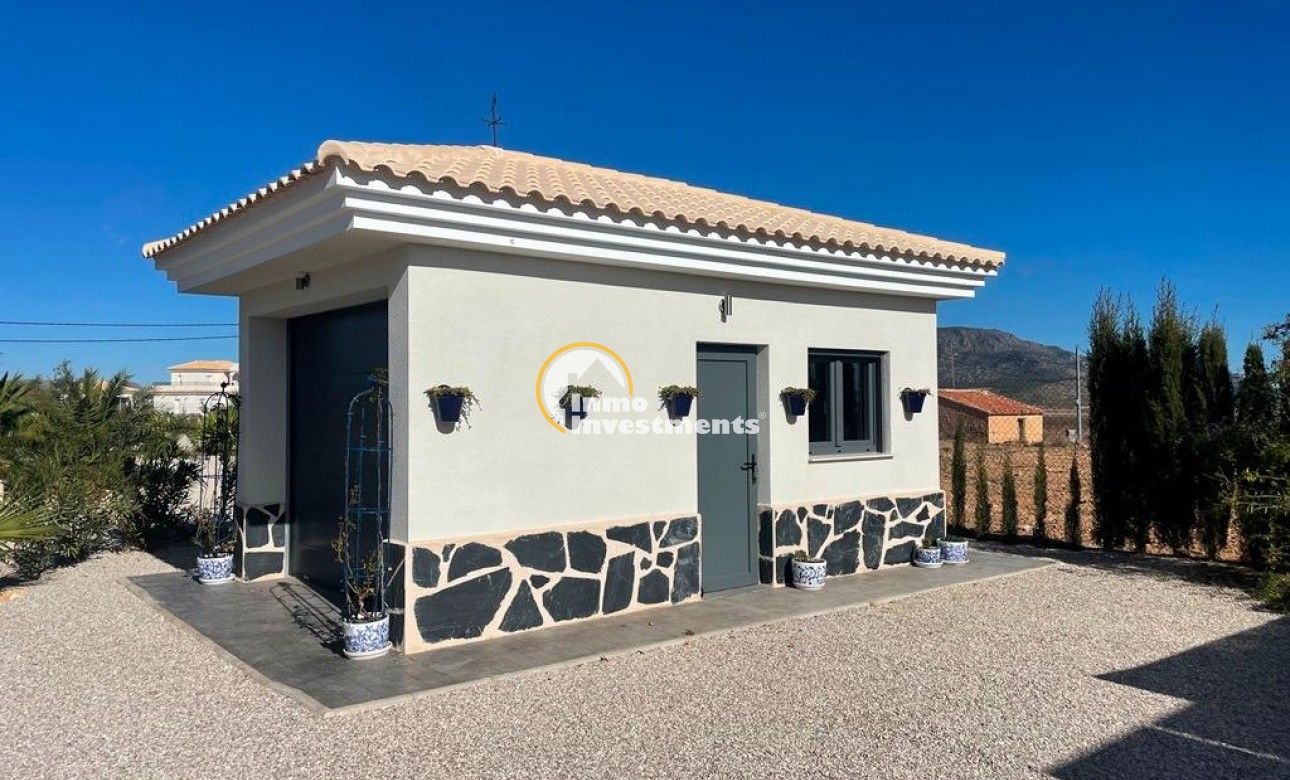 Neubau Immobilien - Villa - Pinoso - Camino Del Prado