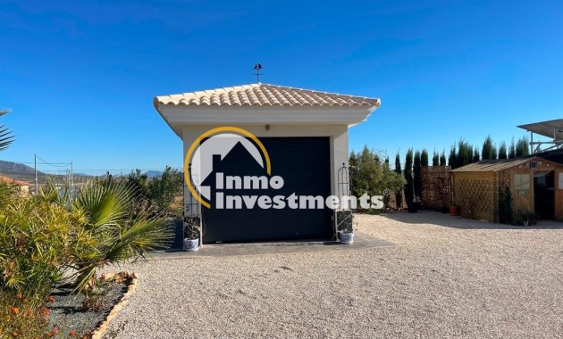 Neubau Immobilien - Villa - Pinoso - Camino Del Prado