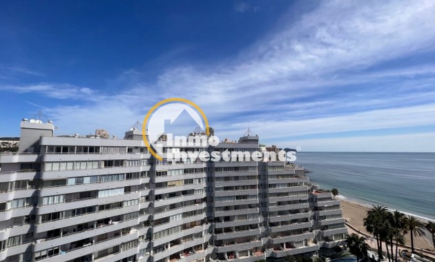 Neubau Immobilien - Penthouse - Calpe - Playa De La Fossa