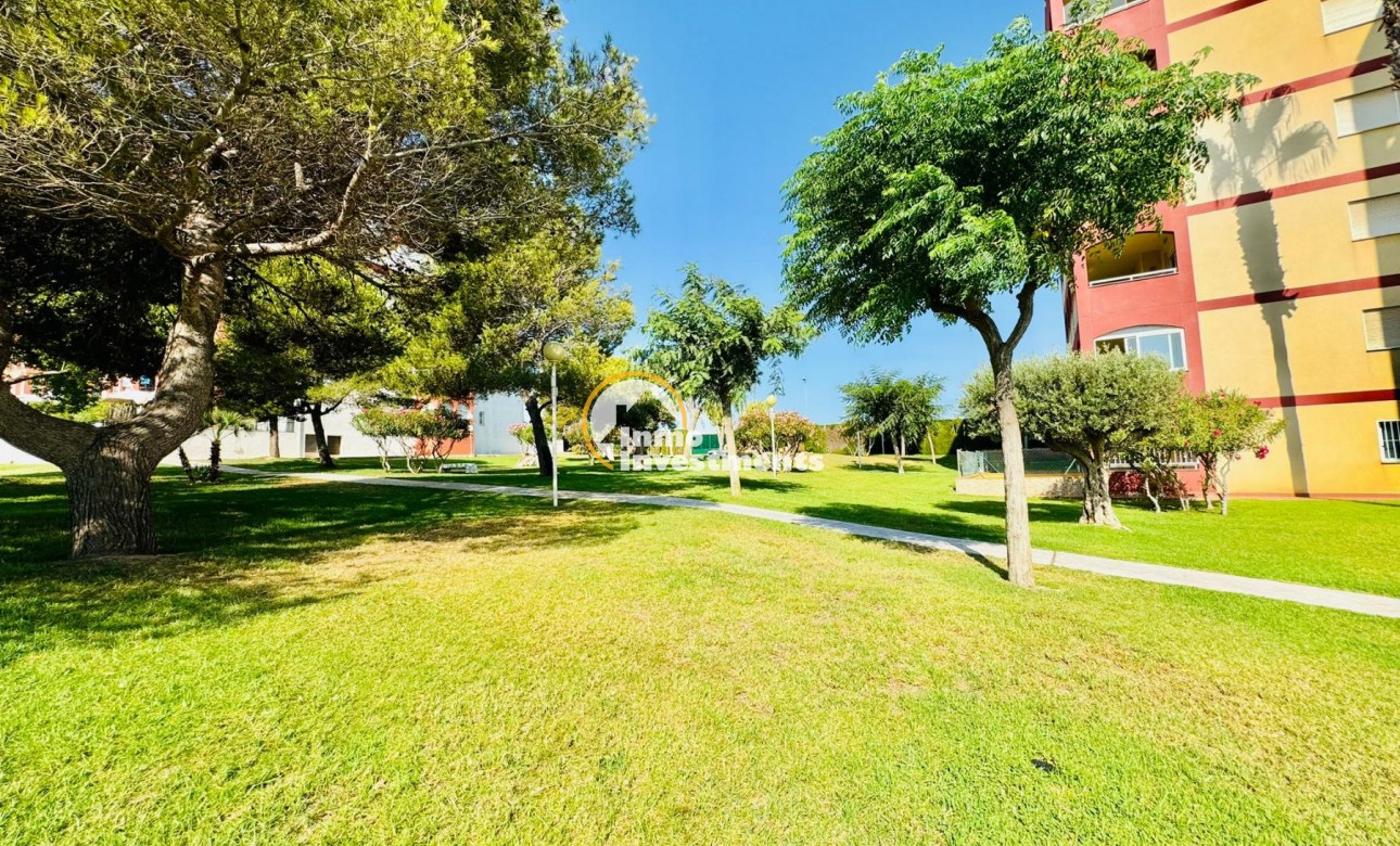 Gebrauchtimmobilien - Apartment - Torrevieja - La Mata