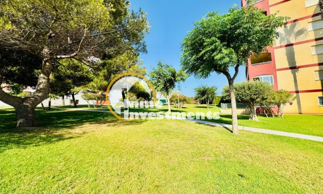 Gebrauchtimmobilien - Apartment - Torrevieja - La Mata