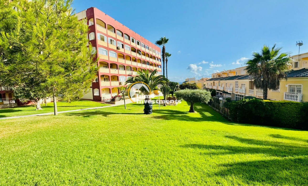 Gebrauchtimmobilien - Apartment - Torrevieja - La Mata