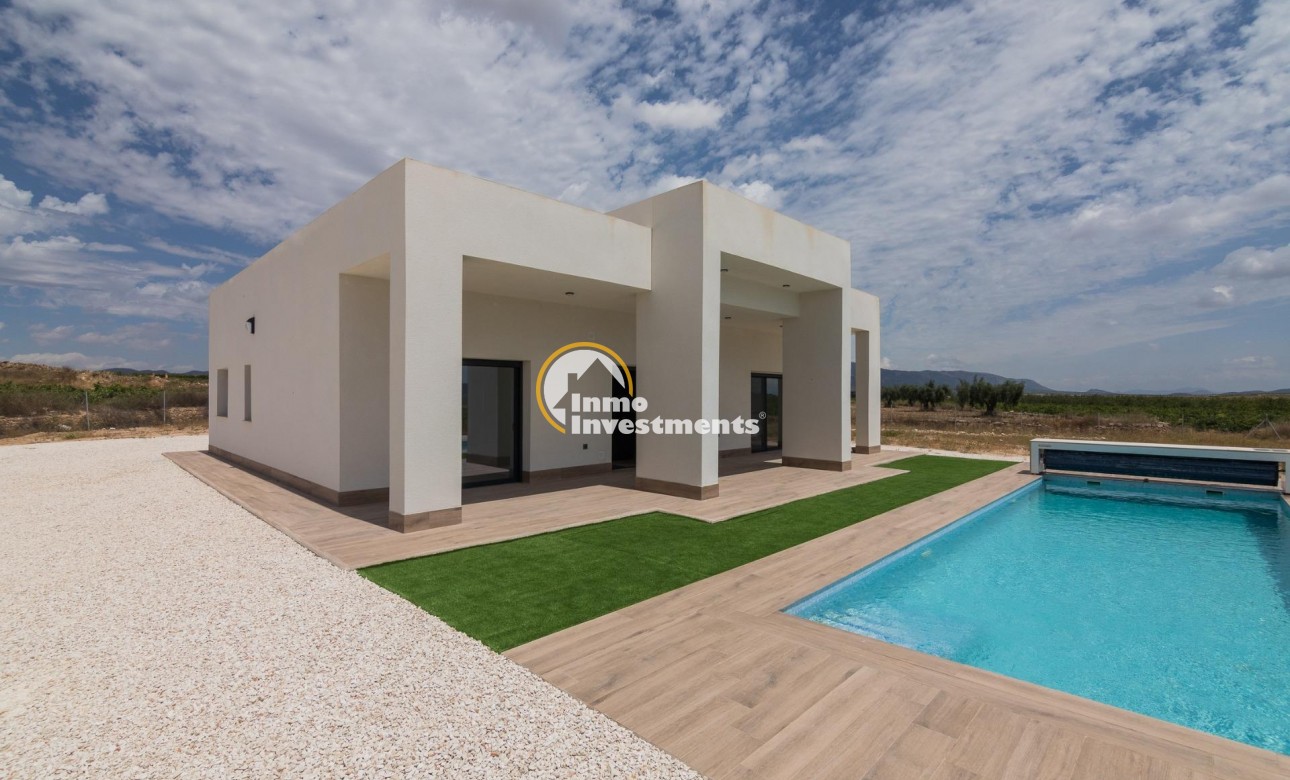 New build - Villa - Pinoso - Campo