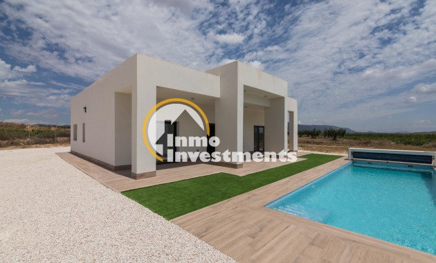 New build - Villa - Pinoso - Campo