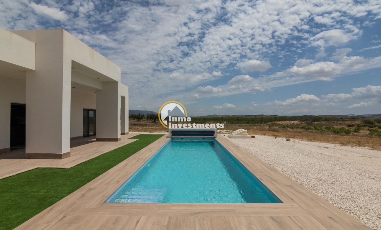 New build - Villa - Pinoso - Campo