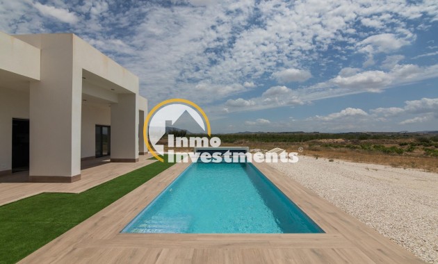 New build - Villa - Pinoso - Campo