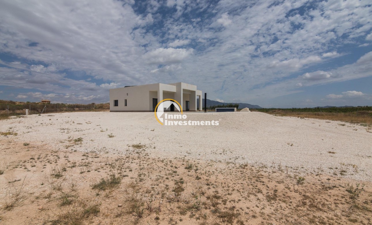 Obra nueva - Chalet independiente - Pinoso - Campo