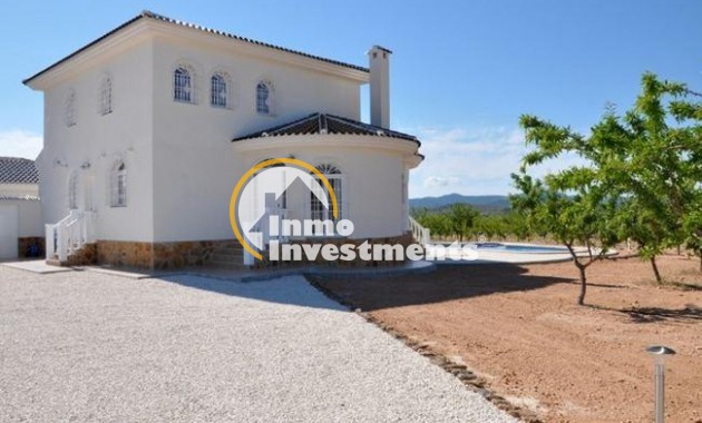 New build - Villa - Pinoso - Campo