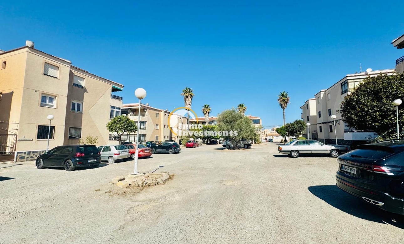 Gebrauchtimmobilien - Studio - Torrevieja - La Siesta