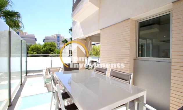 Gebrauchtimmobilien - Apartment - Los Dolses - Pimienta