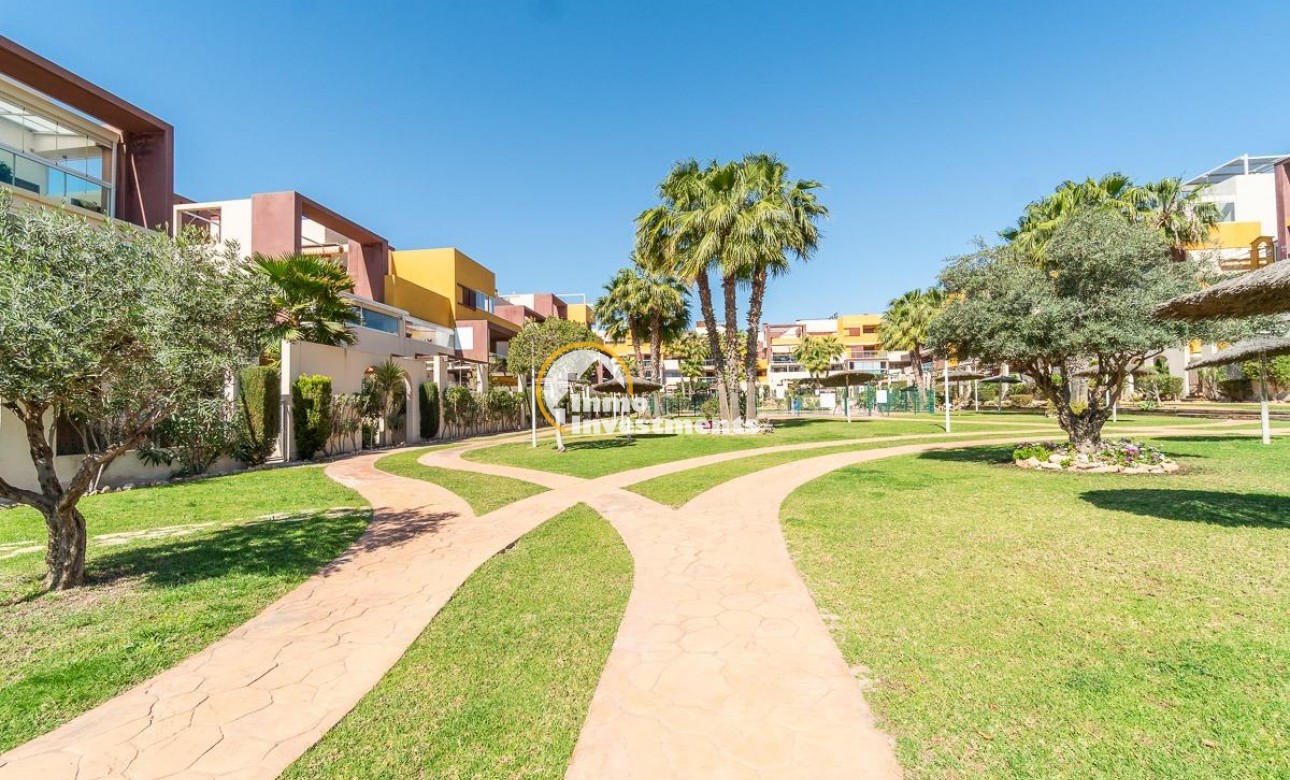 Gebrauchtimmobilien - Penthouse - Playa Flamenca