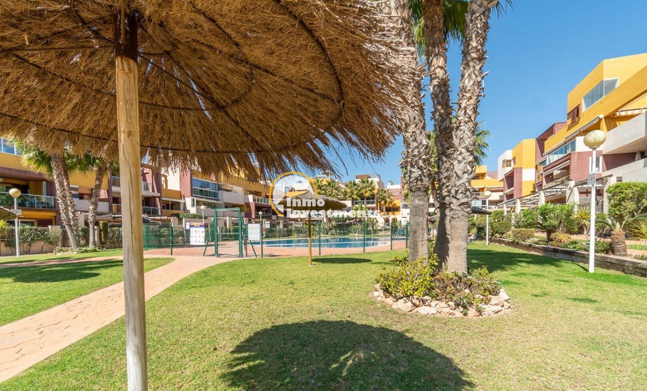 Gebrauchtimmobilien - Penthouse - Playa Flamenca