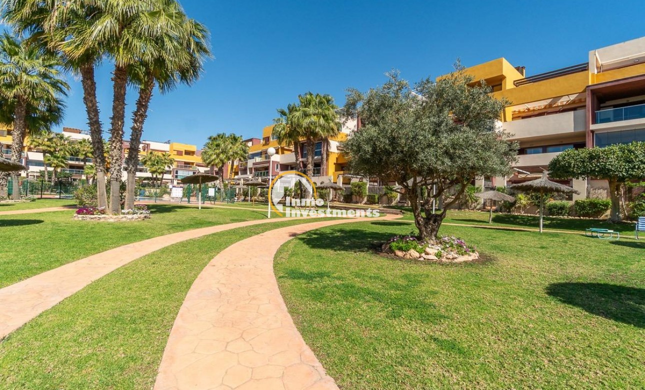 Gebrauchtimmobilien - Penthouse - Playa Flamenca