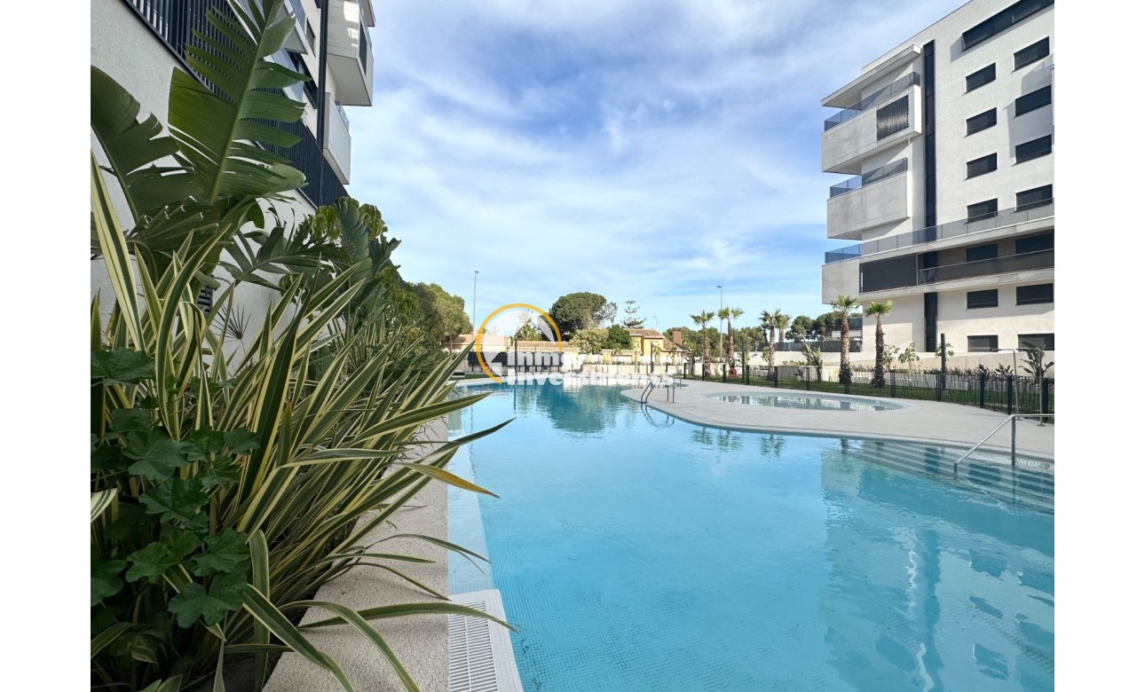 Reventa - Ático - Campoamor - Campoamor playa