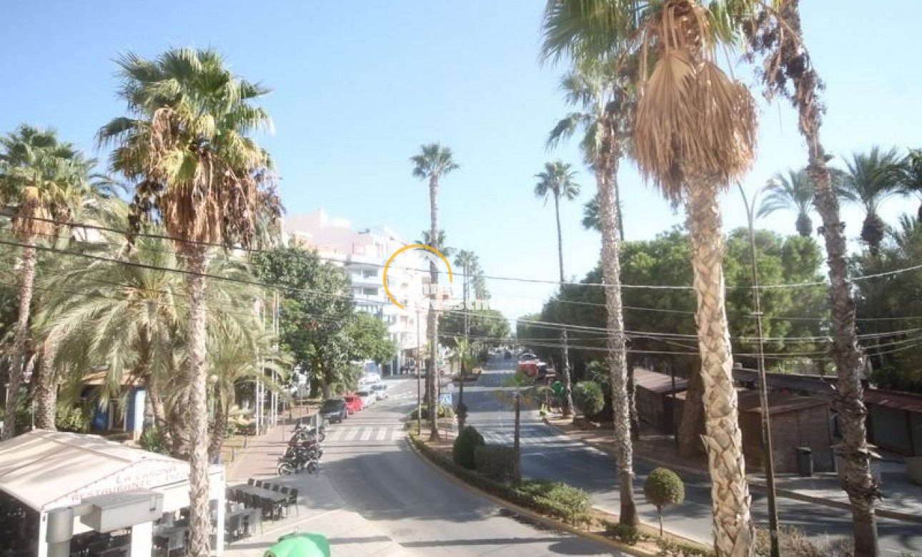 Gebrauchtimmobilien - Apartment - Torrevieja - Strand