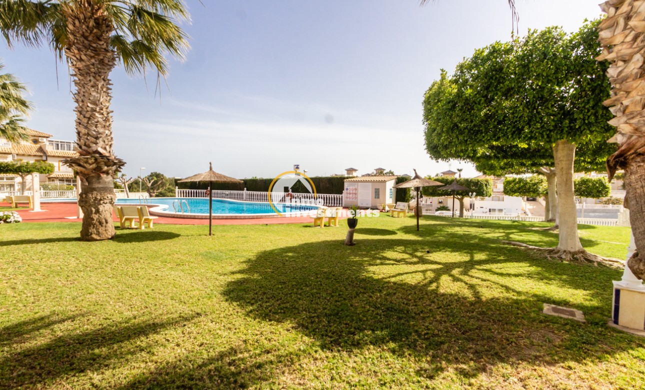 Gebrauchtimmobilien - Quad House - Playa Flamenca