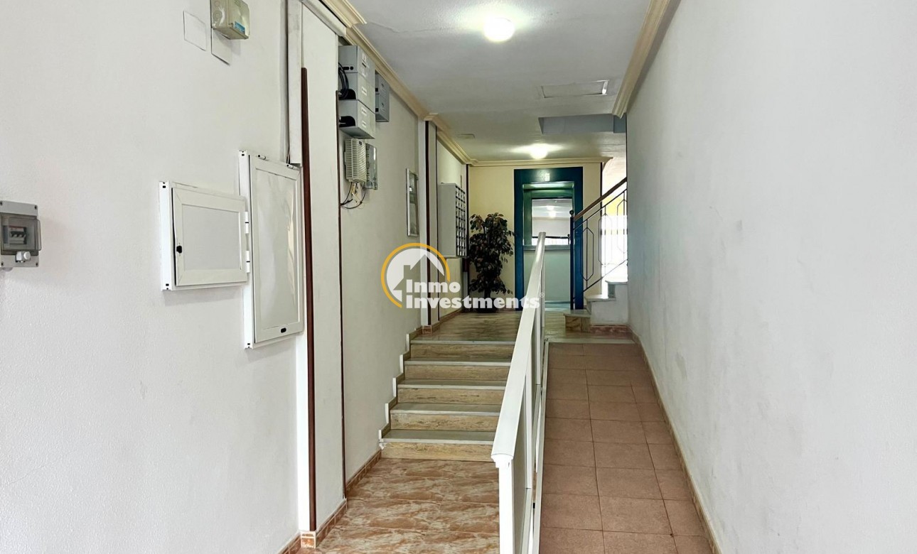 Gebrauchtimmobilien - Apartment - Torrevieja - Centro