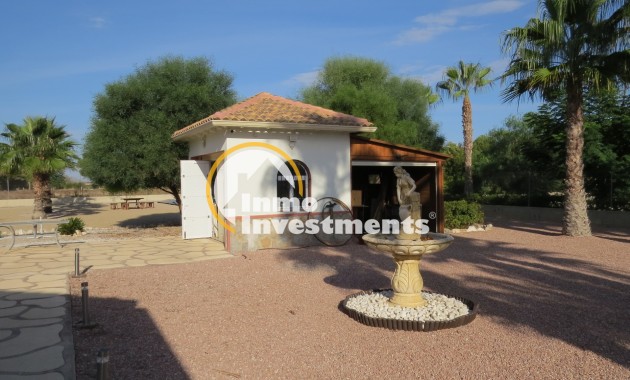 Bestaande bouw - Finca / Country Property - Daya Vieja - 