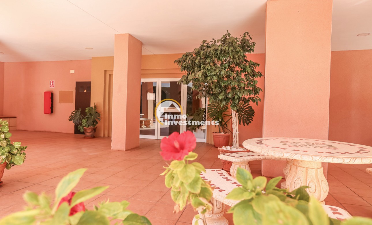 Reventa - Apartamento - Torrevieja