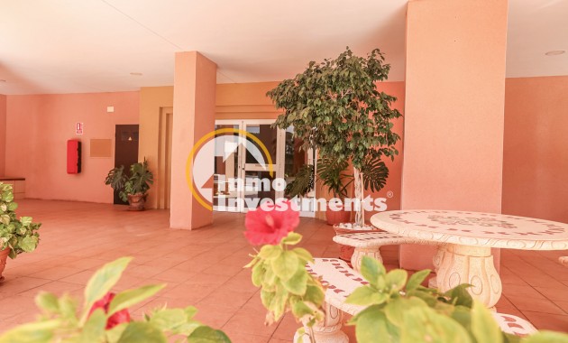 Reventa - Apartamento - Torrevieja