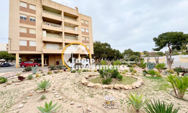 Resale - Apartment - Punta Prima - Beachside