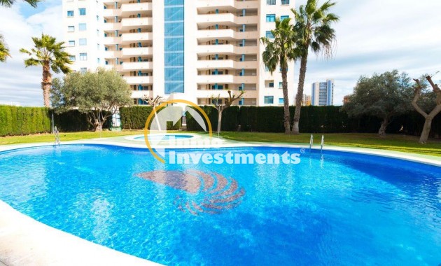 Revente privée - Appartement - Guardamar del Segura - CENTRO