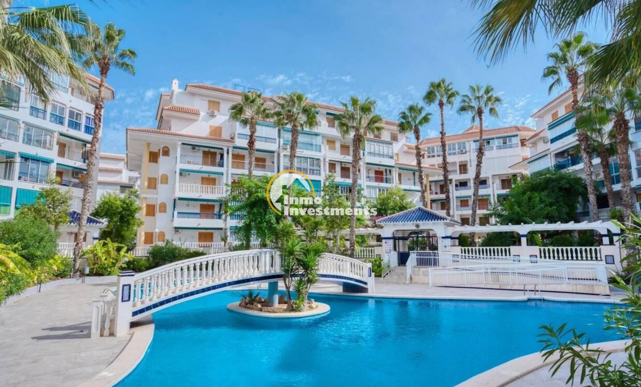 Reventa - Apartamento - Torrevieja - La Mata