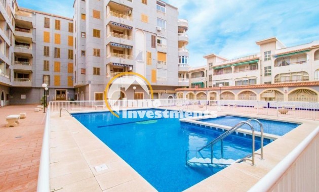 Gebrauchtimmobilien - Apartment - Torrevieja