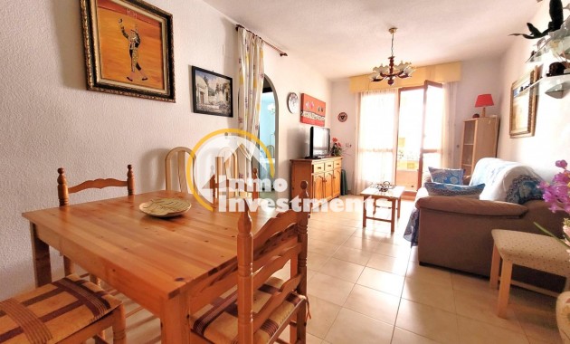 Gebrauchtimmobilien - Apartment - Torrevieja