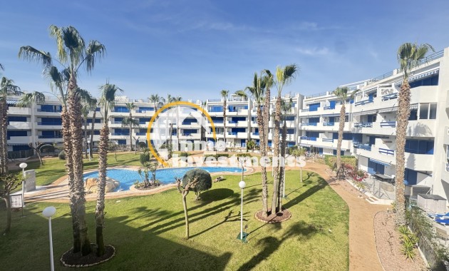 Gebrauchtimmobilien - Apartment - Playa Flamenca - Alameda del Mar